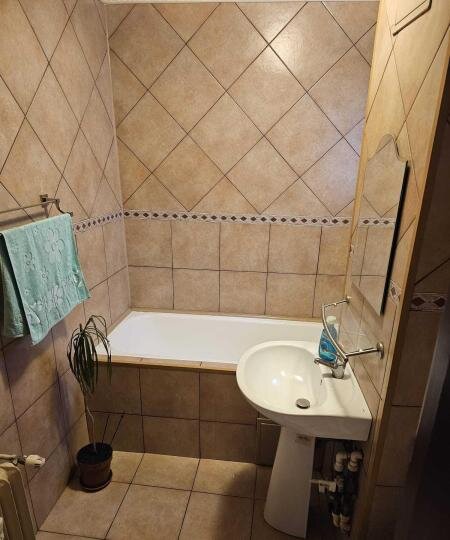 Giurgiului, Cimitirul Evreesc